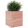 vidaXL Plantekasse 40x40x46 cm heltre douglasgran