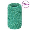 vidaXL B&aring;ttau gr&oslash;nn 2 mm 250 m polypropylen
