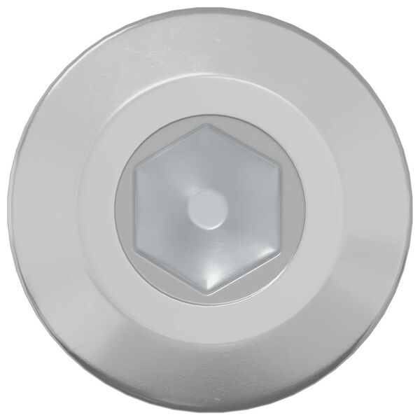 vidaXL Skrue 2 pcs s&oslash;lv M6 x 85 mm St&aring;l