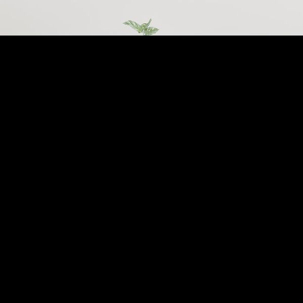 vidaXL Vegghengt TV-benk h&oslash;yglans hvit 40x34,5x80 cm