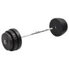 vidaXL Curl-vektstang med skiver 90 kg