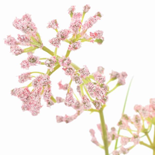 vidaXL Kunstig Flora 95 cm Plast