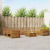 vidaXL Sofasett 10 pcs Naturlig Solid akasietre