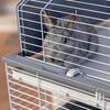 Miniatyrbilde av produktet 7 av 13
