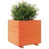 vidaXL Plantekasse voksbrun 50x50x49,5 cm heltre furu