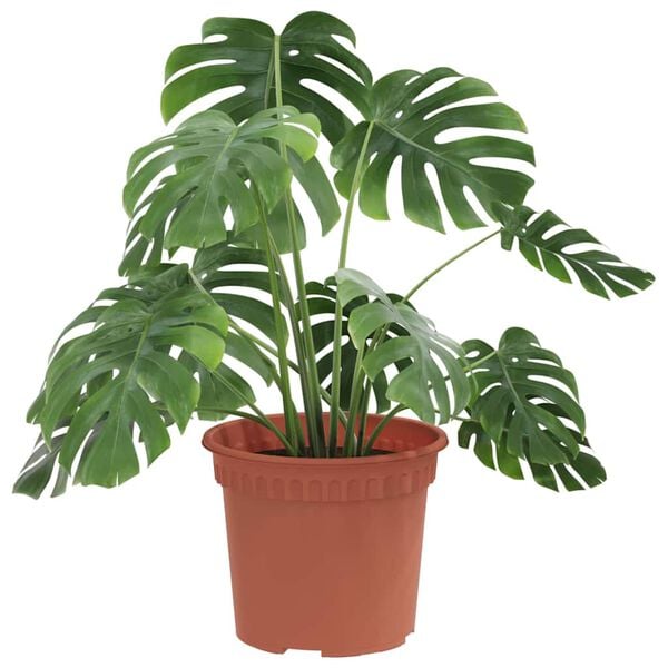 vidaXL Rund Blomsterpotte 6 pcs Klinker R&oslash;d &Oslash; 12,5 x 10 cm Plast