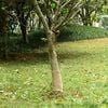 Miniatyrbilde av produktet 2 av 7