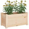 vidaXL Plantekasse 60x31x31 cm heltre furu