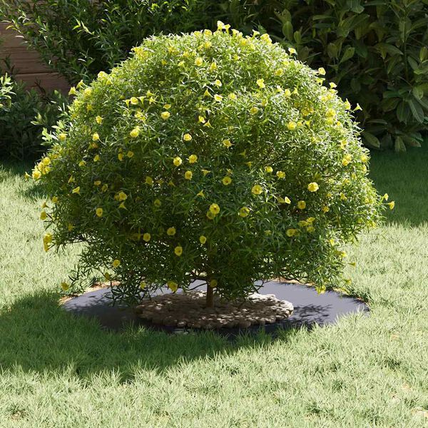 vidaXL passende for Flat Tre Ringer 5 pcs Antrasitt &Oslash;30 / 60 cm St&aring;l