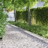 Miniatyrbilde av produktet 2 av 12