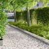 Miniatyrbilde av produktet 2 av 9