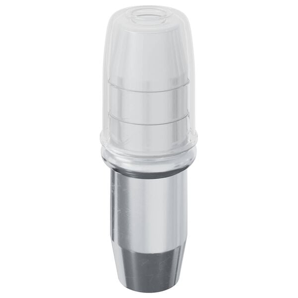 vidaXL Hylla Peg 12 pcs s&oslash;lv 7 x 16 mm Jern