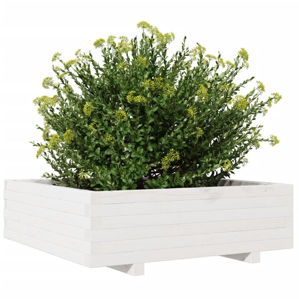 Viser 4 av 10 produktbilde(r)