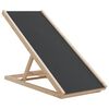 vidaXL Hunderampe gr&aring; 100x40 cm heltre gran