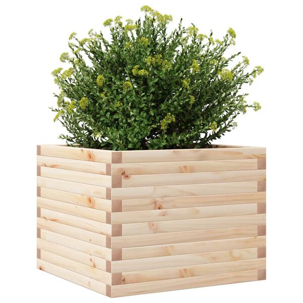 vidaXL Plantekasse 60x60x45,5 cm heltre furu