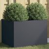 Miniatyrbilde av produktet 2 av 11