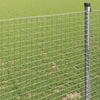 Miniatyrbilde av produktet 4 av 9