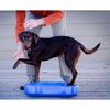 FitPAWS Balanseplattform dyr K9FITbone PVC himmelblå FPK9BONEBL