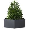 Miniatyrbilde av produktet 8 av 10