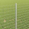 Miniatyrbilde av produktet 4 av 8