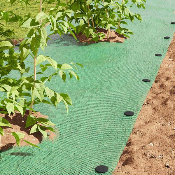 vidaXL Plast plugger 500 pcs Svart &Oslash;3 x 11 cm Plast