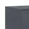 Miniatyrbilde av produktet 11 av 14