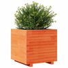 vidaXL Plantekasse voksbrun 50x50x49,5 cm heltre furu