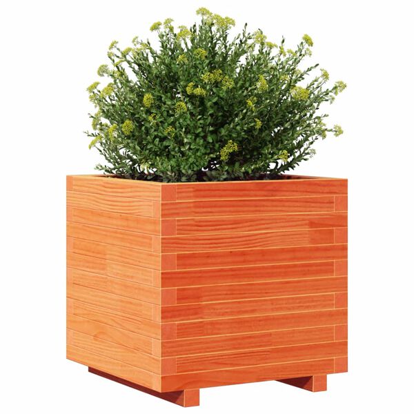 vidaXL Plantekasse voksbrun 50x50x49,5 cm heltre furu