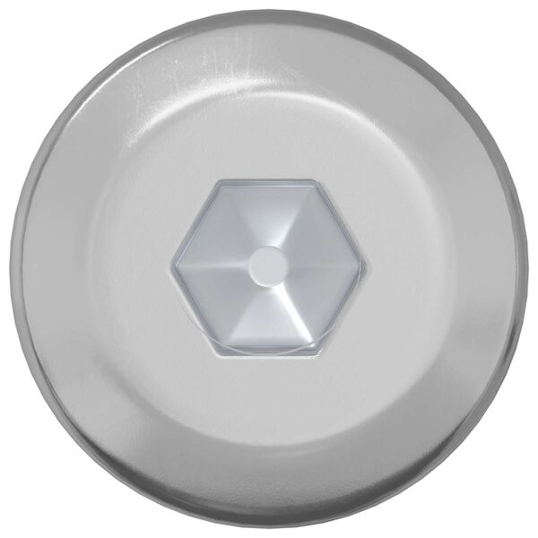 vidaXL Skrue 12 pcs s&oslash;lv M6 x 120 mm St&aring;l