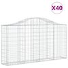 vidaXL Gabionkurver buede 40 stk 200x30x100/120 cm galvanisert jern