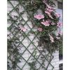 Nature Hageespalier 100x200 cm 6040704