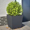 Miniatyrbilde av produktet 2 av 12