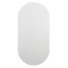 vidaXL Speil 60x30 cm glass