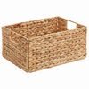 vidaXL Oppbevaringskurver 2 pcs Naturlig 35 x 25 x 17 cm Vannhyasint