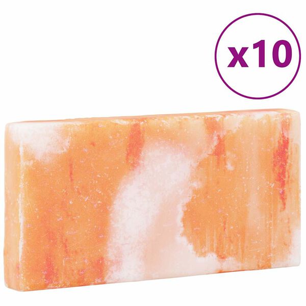 vidaXL Saltstein 10 pcs Rosa 20 x 2,5 x 10 cm Steinsalt