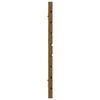 vidaXL Veggmontert hodegavl honningbrun 166x3x63 cm heltre furu