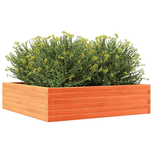 Viser 4 av 10 produktbilde(r)