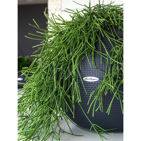 LECHUZA Plantekasse PURO Color 50 ALL-IN-ONE diameter 50 cm skifer