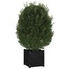 vidaXL Blomsterkasse svart 40x40x40 cm heltre furu