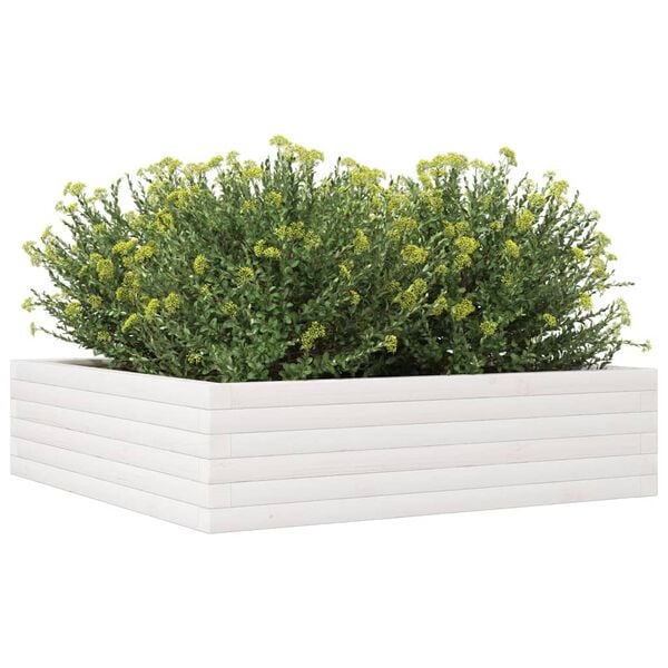 Viser 4 av 10 produktbilde(r)