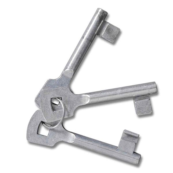 vidaXL Hagegrind med nettinggjerde dør vegggitter 300x175 cm