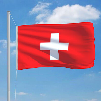 vidaXL Sveitsisk flagg og stang aluminium 6,2 m