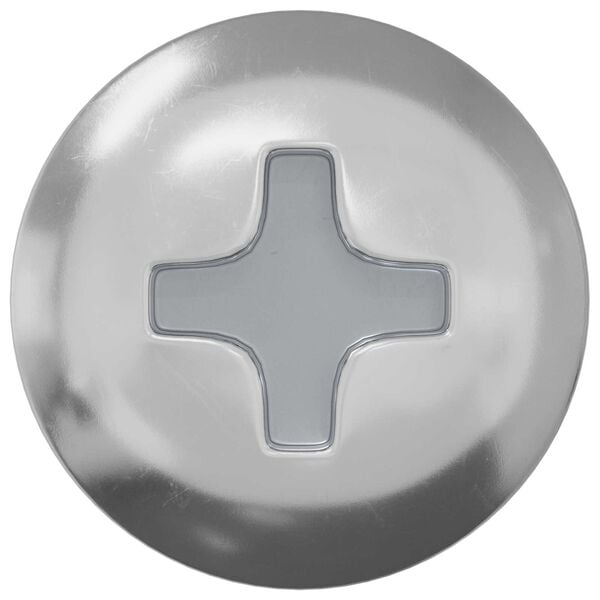 vidaXL Selvgjengende Spiker 2 pcs Sinkbelagt 4 x 25 mm St&aring;l