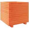 vidaXL Plantekasse voksbrun 50x50x49,5 cm heltre furu