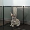 Miniatyrbilde av produktet 8 av 10