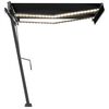 vidaXL Manuell uttrekkbar markise med LED 300x250 cm antrasitt