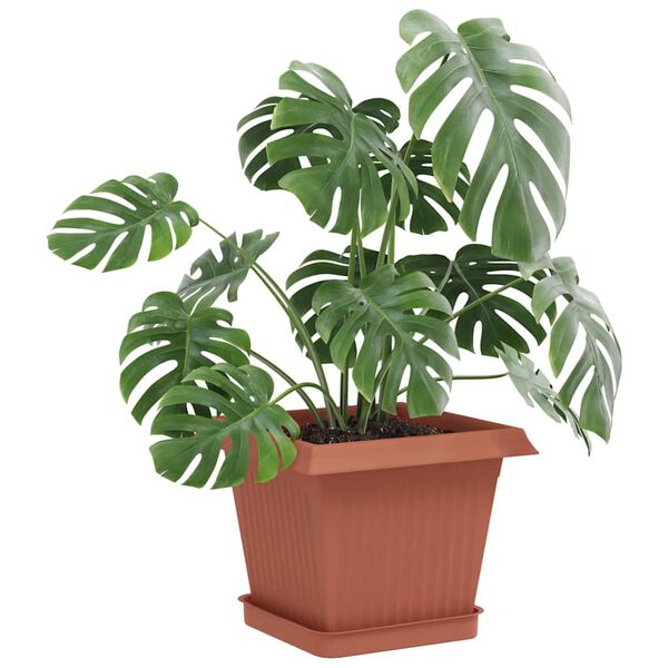 Viser 3 av 10 produktbilde(r)