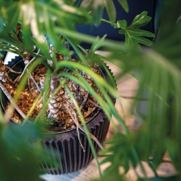 Capi Vase elegant Groove 46x58 cm svart