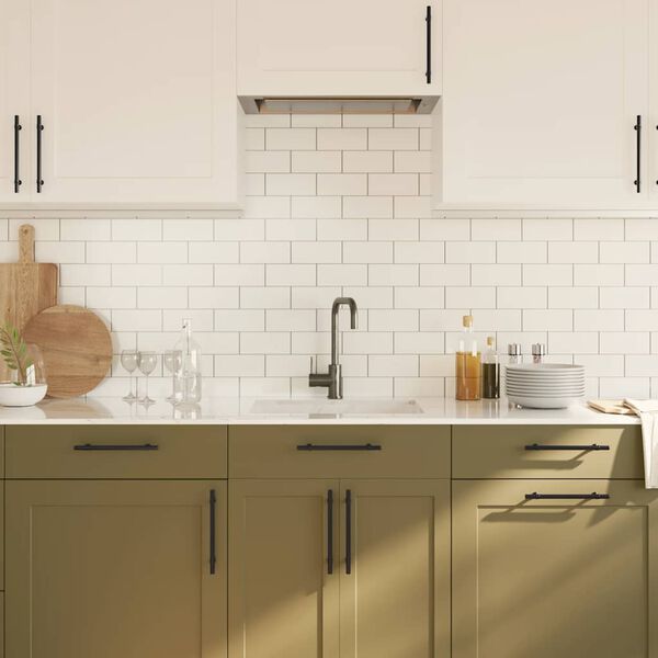 vidaXL Skaphåndtak 10 stk svart 160 mm rustfritt stål