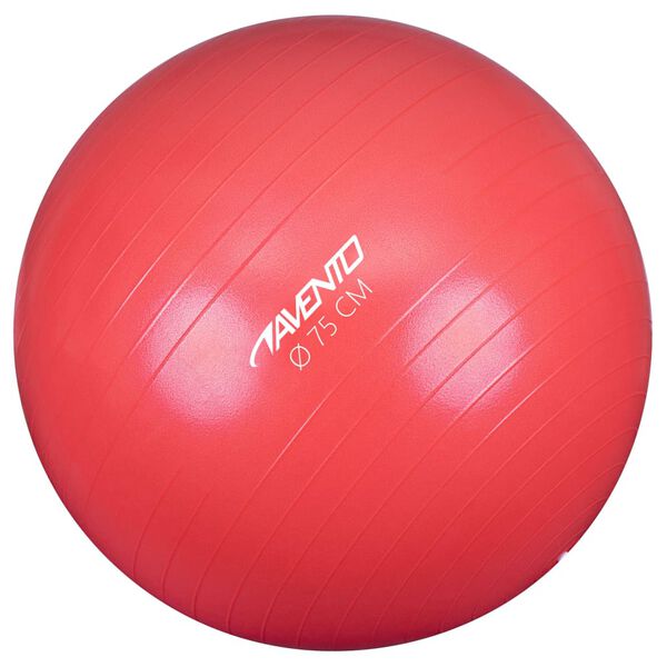 Avento Fitnessball diameter 75 cm rosa